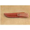Image 11 : Jimmy Lile Custom Fixed Blade Knife (no Dot) With Stag Grips And Leather Sheath