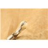 Image 12 : Engraved Colt New Line 2nd Model Etched Panel .22 Short Long Single Action Revolver 1876 Antique