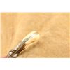 Image 11 : Engraved Colt Open Top Pocket Model Nickel .22 Short/long Rimfire Revolver, 1875 Antique