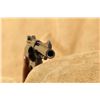 Image 16 : Smith & Wesson S&w Model 15-4 Combat Masterpiece .38 Spl. 4" Da/sa Revolver Mfd 1981