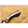 Image 16 : Factory Engraved Colt 1st Gen Single Action Army Saa 4.75â€³ Silver .45 Revolver, 1883 Anti