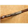 Image 13 : First Year Winchester Model 64 Rifle ('94, 1894) .25-35 W.C.F. Lever Action Rifle 1933 C&r