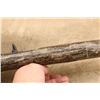 Image 17 : Benelli Super Black Eagle 3 Mossy Oak Bottomland Camo 28" 12 Ga 3.5" Semi Auto Shotgun