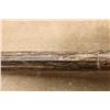 Image 18 : Benelli Super Black Eagle 3 Mossy Oak Bottomland Camo 28" 12 Ga 3.5" Semi Auto Shotgun