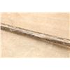 Image 26 : Benelli Super Black Eagle 3 Mossy Oak Bottomland Camo 28" 12 Ga 3.5" Semi Auto Shotgun