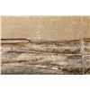 Image 29 : Benelli Super Black Eagle 3 Mossy Oak Bottomland Camo 28" 12 Ga 3.5" Semi Auto Shotgun