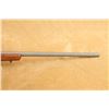 Image 16 : Ruger 77/17 .17 Winchester Super Magnum 24" Bolt Action Rifle & Nikon Scope, Mfd 2015
