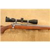Image 1 : Ruger 77/17 .17 Winchester Super Magnum 24" Bolt Action Rifle & Nikon Scope, Mfd 2015