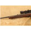 Image 10 : Winchester Model 88 .243 Win. 22" Lever Action Rifle & Redfield Bear Cub Scope, 1957 C&r
