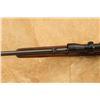 Image 18 : Winchester Model 88 .243 Win. 22" Lever Action Rifle & Redfield Bear Cub Scope, 1957 C&r