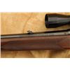Image 24 : Winchester Model 88 .243 Win. 22" Lever Action Rifle & Redfield Bear Cub Scope, 1957 C&r