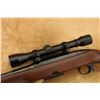 Image 25 : Winchester Model 88 .243 Win. 22" Lever Action Rifle & Redfield Bear Cub Scope, 1957 C&r