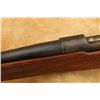 Image 27 : Winchester Model 54 First Standard .270 Wcf 24" Bolt Action Rifle, Mfd 1927 C&r