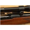 Image 26 : Pre-64 Winchester Model 70 .270 Win. 24" Bolt Action Rifle & Kollmorgen Scope, Mfd 1950 C&r
