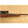 Image 5 : Pre-64 Winchester Model 70 .270 Win. 24" Bolt Action Rifle & Kollmorgen Scope, Mfd 1950 C&r