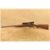 Image 7 : Pre-64 Winchester Model 70 .270 Win. 24" Bolt Action Rifle & Kollmorgen Scope, Mfd 1950 C&r