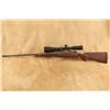 Image 9 : Winchester Model 70 Featherweight .264 Win. Mag. 24" Bolt Action Rifle & Scope, Mfd 2015