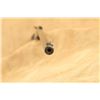 Image 23 : Remington Model 6 .22 S L Lr 20" Single Shot Falling Block Rifle, Mfd 1911-1921 C&r