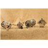 Image 1 : Winchester Fishing Vintage Nickel-plated Reels: No. 1118, No. 1312, No. 4246, & No. 4350