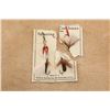 Image 1 : Winchester Spinning Coachman No. 9400 Fishing Lure Set With Original Packaging Card
