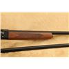 Image 5 : Winchester Model 59 Win-lite 12 Ga 28" Mod 30" Full Barrels Semi Auto Shotgun, 1960-1965 C&r