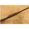 Image 14 : Marlin Model 29 .22 S L Lr 22.5" Slide-action Rimfire Rifle, Mfd 1913-1916 C&r