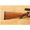 Image 18 : Ruger M77 Mark Ii .243 Winchester 20" Bolt Action Rifle & Burris Scope, Mfd 1993