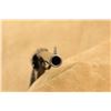 Image 16 : Scarce Colt New Service Model 7.5" Lanyard Loop .45 Lc Double Action Revolver, 1920 C&r