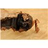 Image 22 : Enfield No.4 Mk 2 Paper Mummy Wrapped .303 British Bolt Action Rifle, May 1955 C&r