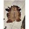 Image 10 : Vintage Bison Calf 68"x53" Repaired Suede Hair-on Buffalo Hide Rug Robe Blanket
