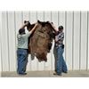 Image 1 : Vintage Bison Calf 68"x53" Repaired Suede Hair-on Buffalo Hide Rug Robe Blanket