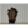 Image 4 : Vintage Bison Calf 68"x53" Repaired Suede Hair-on Buffalo Hide Rug Robe Blanket