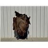 Image 6 : Vintage Bison Calf 68"x53" Repaired Suede Hair-on Buffalo Hide Rug Robe Blanket