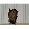 Image 7 : Vintage Bison Calf 68"x53" Repaired Suede Hair-on Buffalo Hide Rug Robe Blanket