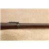Image 5 : Us Springfield Model 1888 Ramrod Bayonet .45-70 Gov't Trapdoor Single Shot Rifle, 1891 Antique