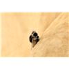 Image 16 : Eagle Arms Plant's Front Loading Pocket .30 Cal Cup-primed Single Action Revolver, 1860s Antique