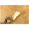 Image 12 : Belgian Guardian American Model 1878 7mm Pinfire Lefaucheux Revolver, 1880-1893 Antique