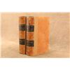 Image 5 : Antique 1881 Jefferson Davis Rise Fall Confederate Government 2v Rebacked Leather Book Set