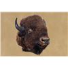 Image 2 : Vintage, American Bison, Left-turn Hump, 50"x48"x30", 50 Lbs, Taxidermy Mount