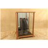 Image 15 : United States, Cavalry, Indian Wars, Hecht Bros, Tall Leather, Riding Boots, 13x15x23.5 Display Case