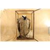 Image 2 : Antique 1800s Us Cavalry Captain Rank Fringed Buckskin Jacket Museum Glass Display Case Lot