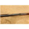 Image 17 : S.F.P. San Francisco Police Colt Lightning Magazine Rifle .44-40 Clmr Pump Action, 1898 Antique