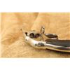 Image 17 : Hopkins & Allen Acme Hammerless No. 1 .32 S&w 2.625" Da Revolver, 1893-1898 Antique
