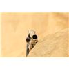 Image 15 : Iver Johnson Third Model Large Frame Safety Automatic .38 S&w 3.25" Sa/da Revolver, 1910 C&r