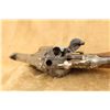 Image 17 : Belgian M1873 Montenegrin Gasser 11.3ã—36mmr 5.125" Sa/da Revolver, 1894-1914 C&r