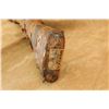 Image 20 : Enfield No.4 Mk 2 Paper Mummy Wrapped .303 British Bolt Action Rifle, April 1955 C&r