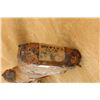 Image 21 : Enfield No.4 Mk 2 Paper Mummy Wrapped .303 British Bolt Action Rifle, April 1955 C&r