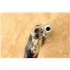 Image 13 : Stainless Taurus Model 605 Stainless .357 Mag 2" Snub Nose 5-shot Da/sa Revolver