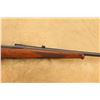 Image 5 : Buffalo Ny Newton Arms Co. Model 1916 .256 Newton 24" Bolt Action, Mfd 1916-1917 C&r