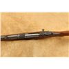 Image 19 : Buffalo Ny Newton Arms Co. Model 1916 .256 Newton 24" Bolt Action, Mfd 1916-1917 C&r